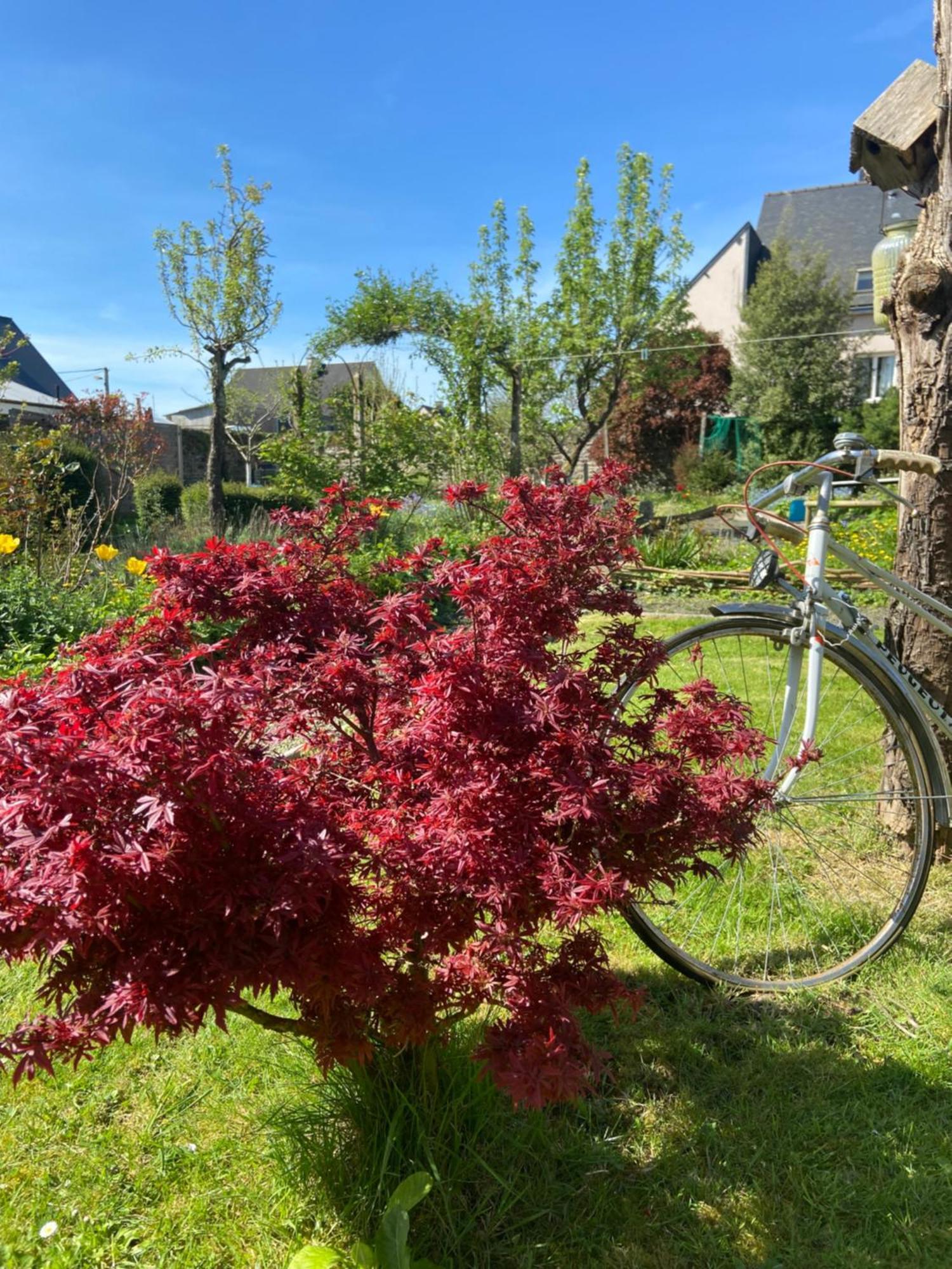Atipyk'Ododo Bed and Breakfast Saint-James Eksteriør billede